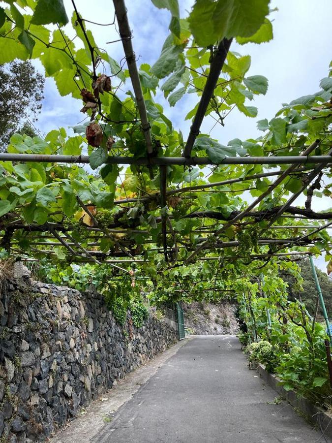 Casa Rural Quilla Agulo Eksteriør bilde