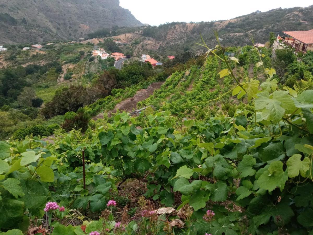Casa Rural Quilla Agulo Eksteriør bilde